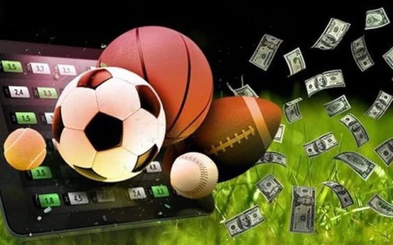 Cá độ bóng đá online có vi phạm pháp luật?
