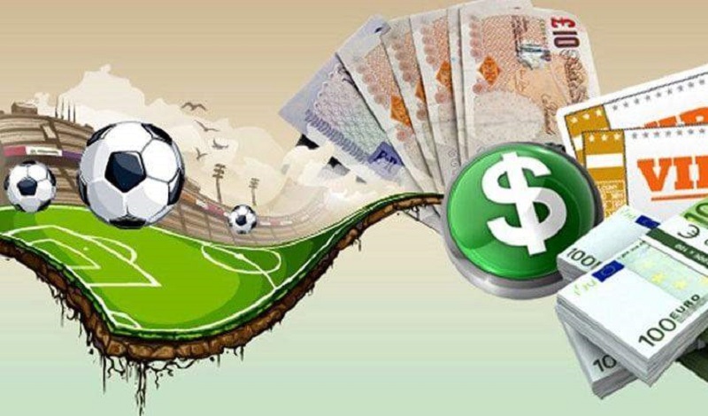 Chưa hiểu luật nhưng vẫn đặt cược