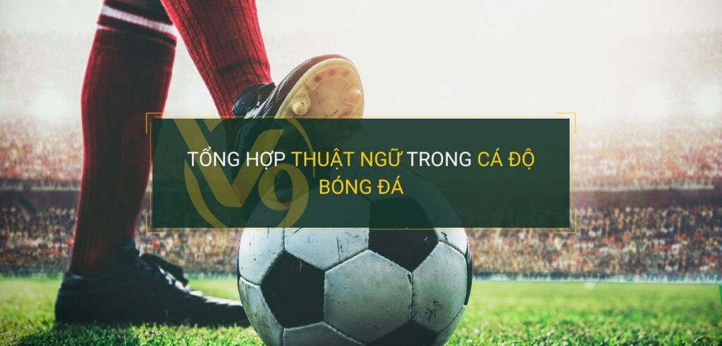 các thuật ngữ cá độ bóng đá