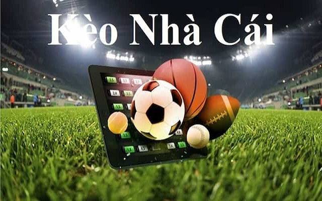 Kèo nhà cái là gì Kèo nhà cái là gì