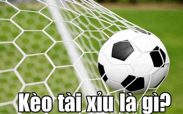Tài xỉu 1 1 5 là sao Tài xỉu 1 1 5 là sao