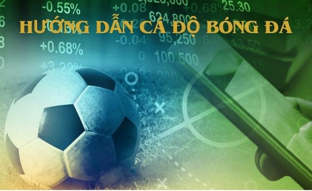 Hướng dẫn cá độ bóng đá và mẹo chơi hiệu quả nhất Hướng dẫn cá độ bóng đá và mẹo chơi hiệu quả nhất
