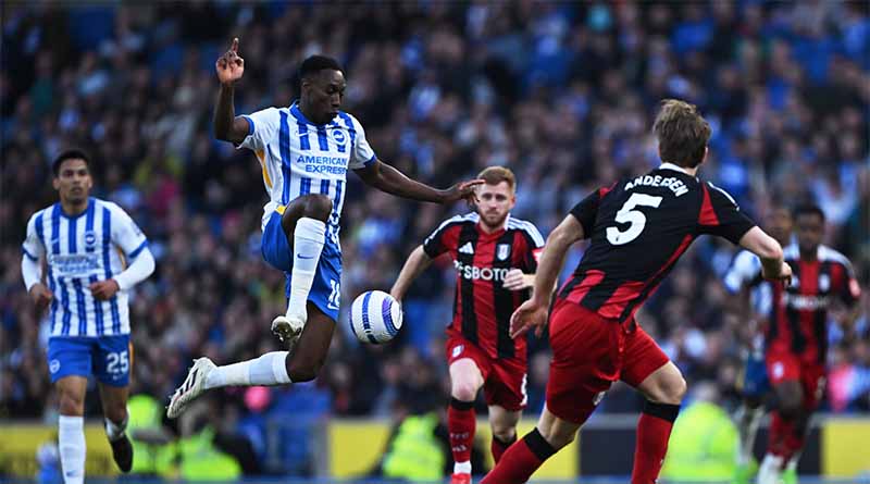 Lịch sử đối đầu Fulham vs Brighton: Cuộc chiến kịch tính Ngoại hạng Anh