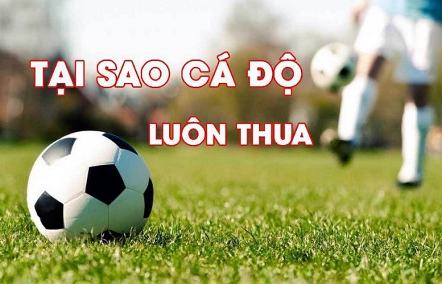 Hiểu lý do vì sao luôn thua để tránh khi cá cược bóng đá