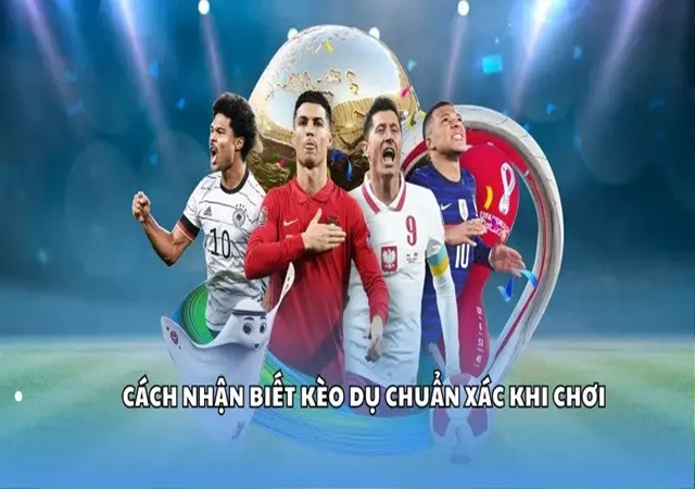 Cách nhận biết kèo dụ dễ nhất Cách nhận biết kèo dụ dễ nhất