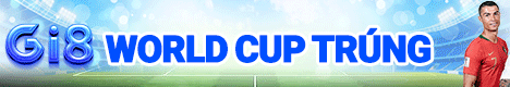 Banner World Cup 2026