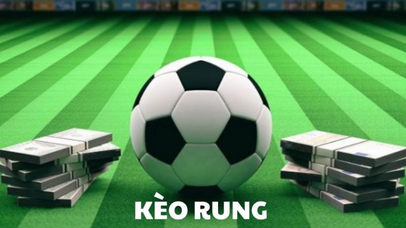 Bạn có thể đánh kèo rung