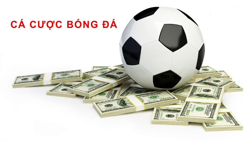 Cách chơi cá độ bóng đá hiệu quả là chọn kèo cược phù hợp Cách chơi cá độ bóng đá hiệu quả là chọn kèo cược phù hợp